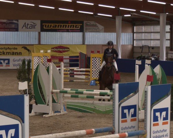 Reitturnier Isterberg 2024