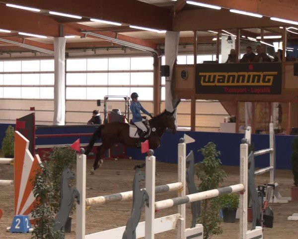 Reitturnier Isterberg 2024