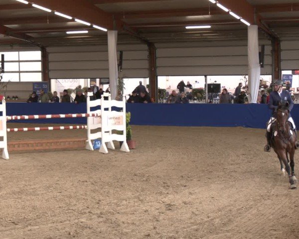 Reitturnier Isterberg 2024