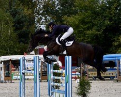 jumper Kronos Fj (Croatian Warmblood, 2018, from Kannan)