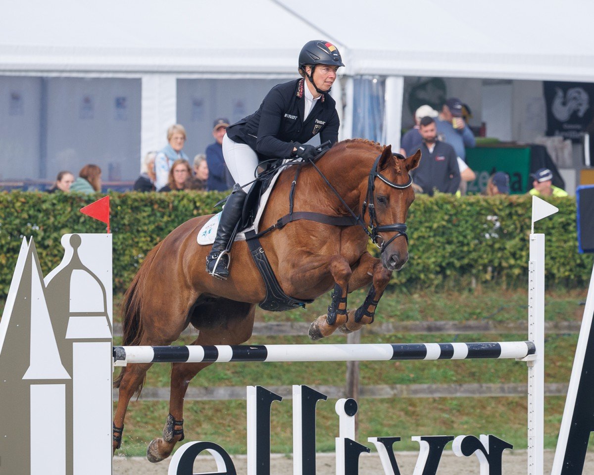 Broodmare Victoria 108 (Hanoverian, 2011, from Valentino)