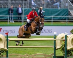 jumper Gangster V/h Noddevelt (KWPN (Royal Dutch Sporthorse), 2011, from Eldorado van de Zeshoek)