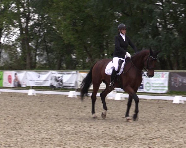 Reitturnier Ruhlsdorf 2024
