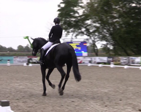 Reitturnier Ruhlsdorf 2024