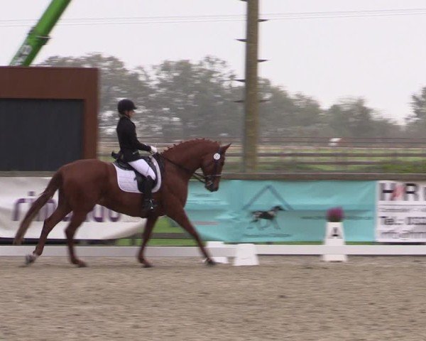 Reitturnier Ruhlsdorf 2024