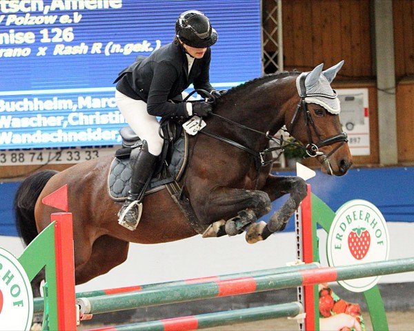 jumper Denise 126 (Mecklenburg, 2014, from Diarano)