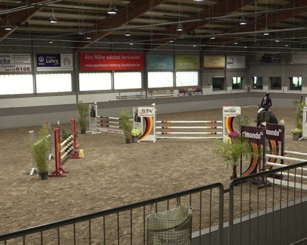 Reitturnier AZL Luhmühlen 2024