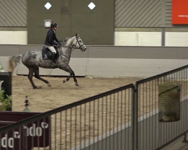 Reitturnier AZL Luhmühlen 2024