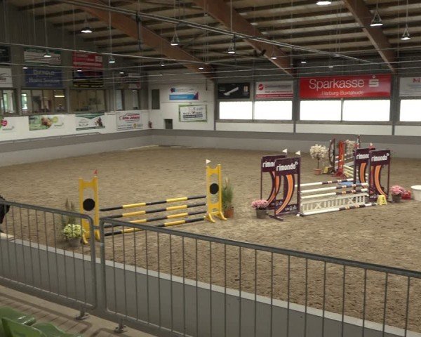 Reitturnier AZL Luhmühlen 2024