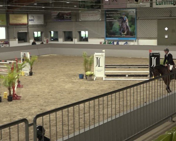 Reitturnier AZL Luhmühlen 2024