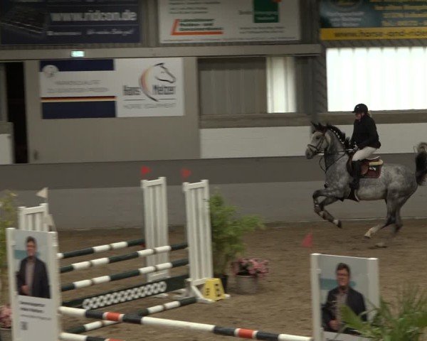 Reitturnier AZL Luhmühlen 2024