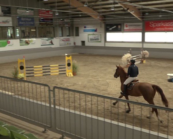 Reitturnier AZL Luhmühlen 2024