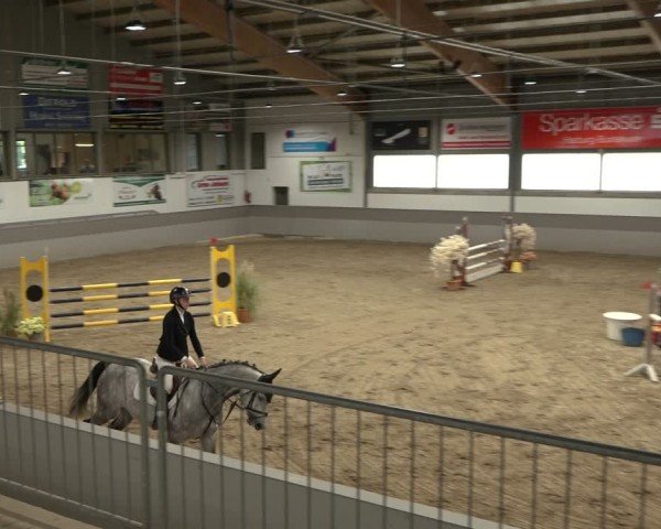 Reitturnier AZL Luhmühlen 2024