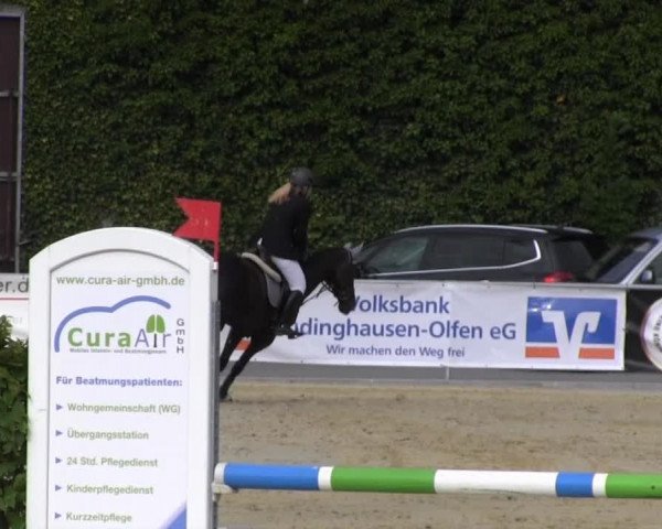 Vinnummer Reitertage 2013