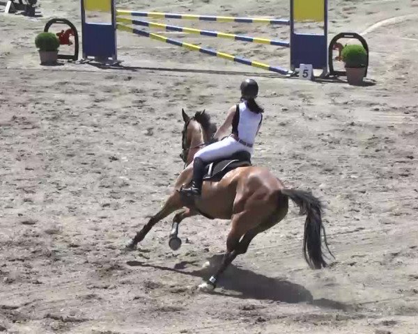 Leutkirch-Haid 2013