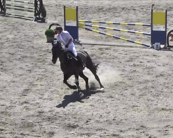 Leutkirch-Haid 2013
