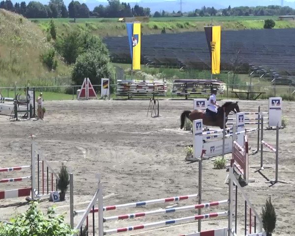 Leutkirch-Haid 2013