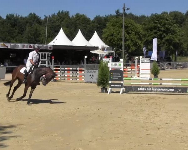 Vinnummer Reitertage 2013