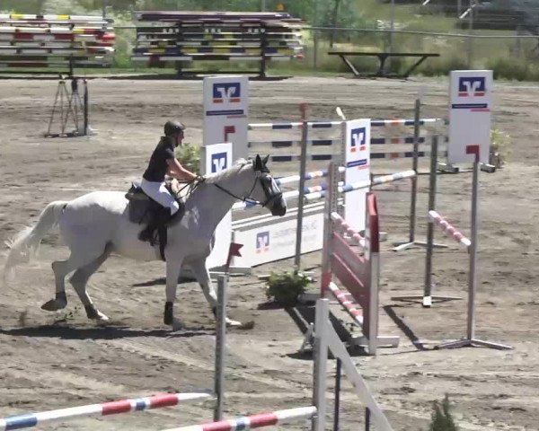 Leutkirch-Haid 2013