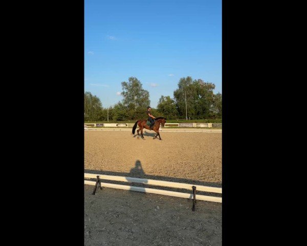 Video von Filomela