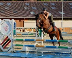 broodmare Enjoy 103 (German Sport Horse, 2011, from Carpalano)