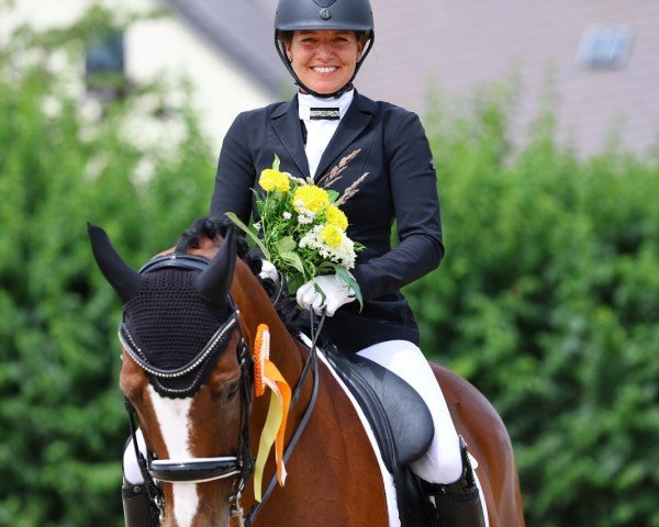 Dressurpferd Petronella Apfelmus (Deutsches Sportpferd, 2015, von Danciano) Dressurpferd Petronella Apfelmus (Deutsches Sportpferd, 2015, von Danciano)