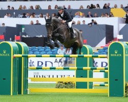 jumper Caprisco (Westphalian, 2014, from Pikeur Cole Porter)