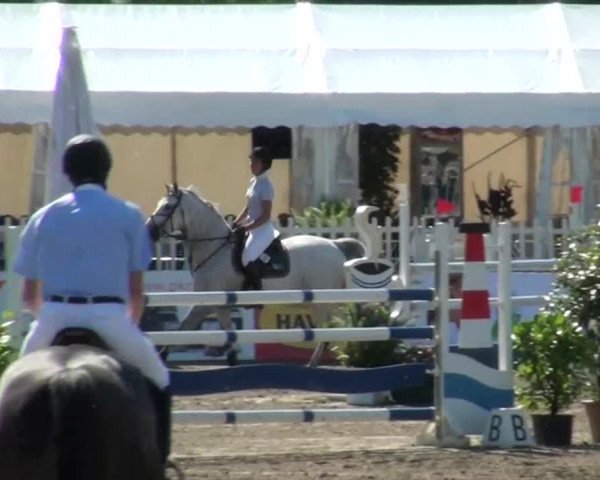 60. Lobbericher Reitsportfestival 01.-04.08.2013