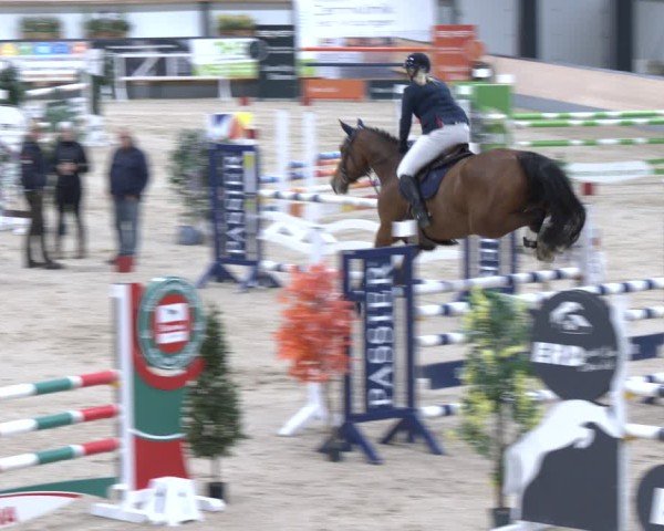 Reitturnier Borken 2024