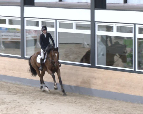 Reitturnier Borken 2024