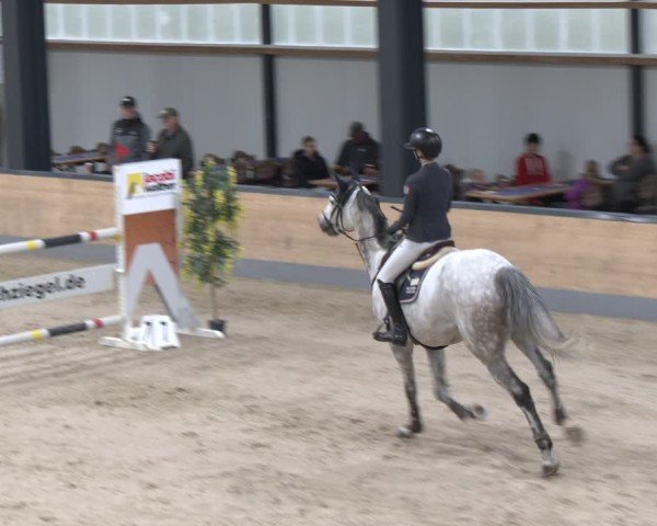 Reitturnier Borken 2024