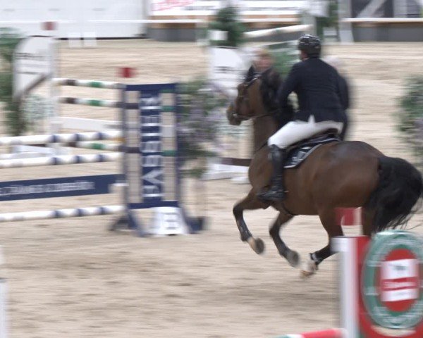Reitturnier Borken 2024