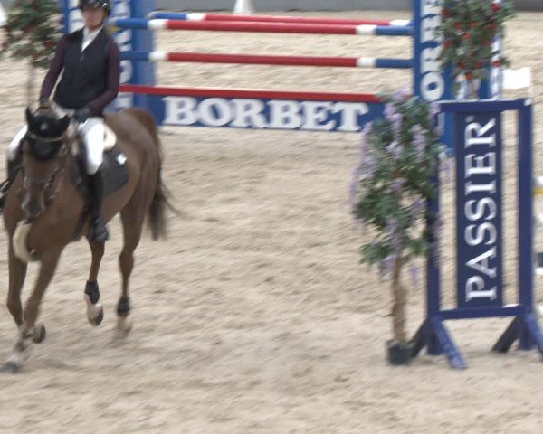 Reitturnier Borken 2024