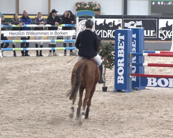 Reitturnier Borken 2024