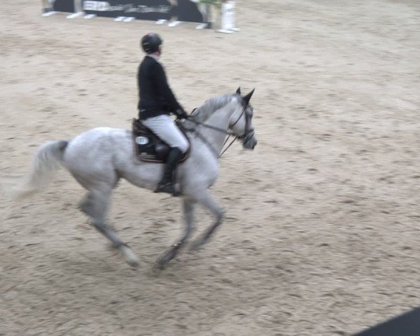 Reitturnier Borken 2024