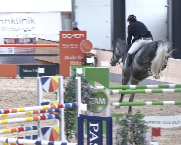 Reitturnier Borken 2024