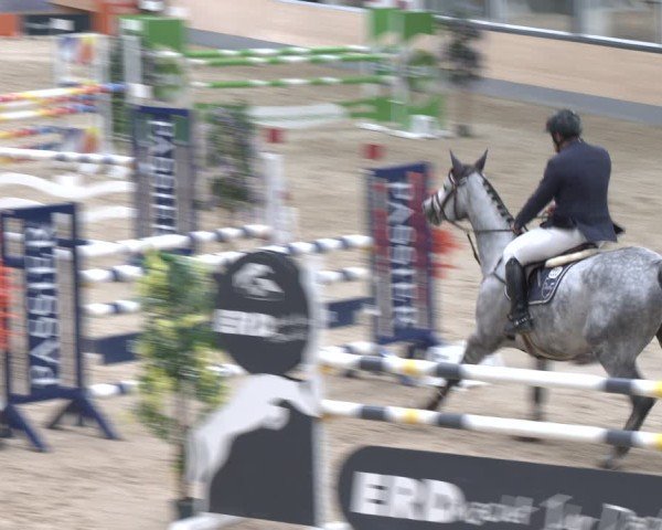 Reitturnier Borken 2024