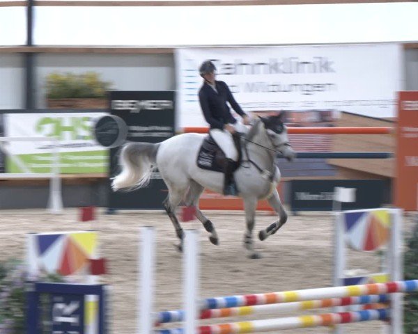 Reitturnier Borken 2024