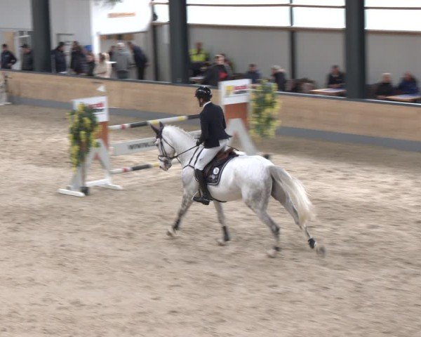 Reitturnier Borken 2024