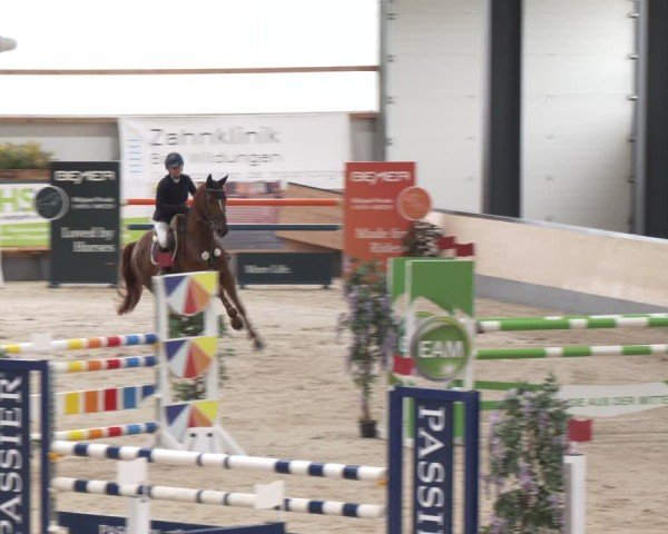 Reitturnier Borken 2024