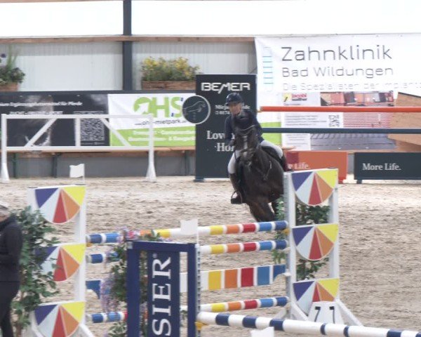 Reitturnier Borken 2024