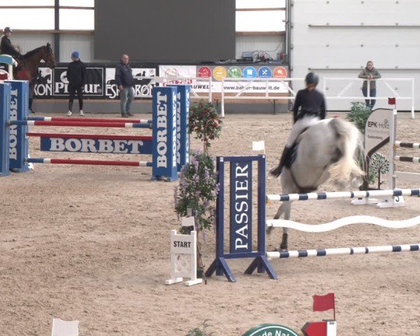 Reitturnier Borken 2024