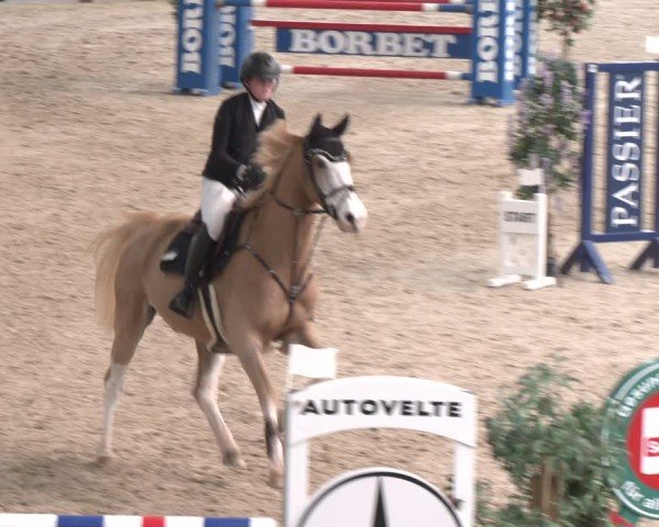 Reitturnier Borken 2024
