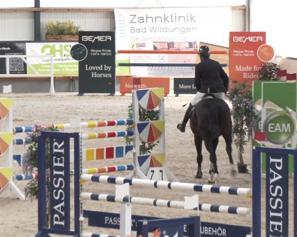 Reitturnier Borken 2024