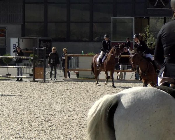 Reitturnier Felsberg 2021