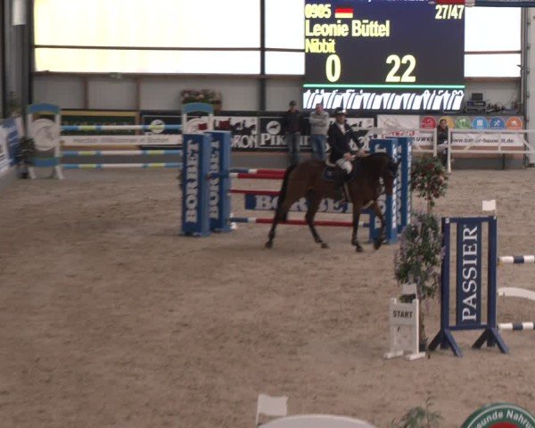 Reitturnier Borken 2024