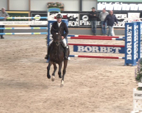 Reitturnier Borken 2024