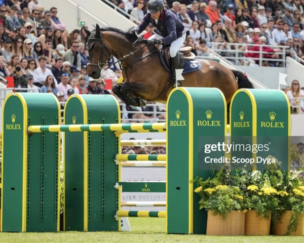jumper Miss Marie van't Winnenhof (Belgian Warmblood, 2012, from Edjaz van T Merelsnest)
