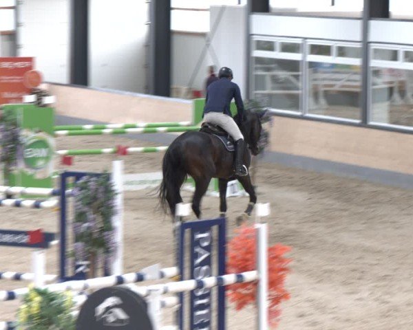 Reitturnier Borken 2024