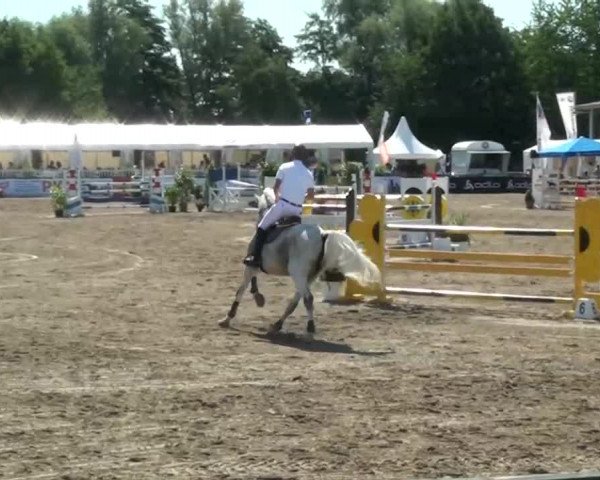 60. Lobbericher Reitsportfestival 01.-04.08.2013
